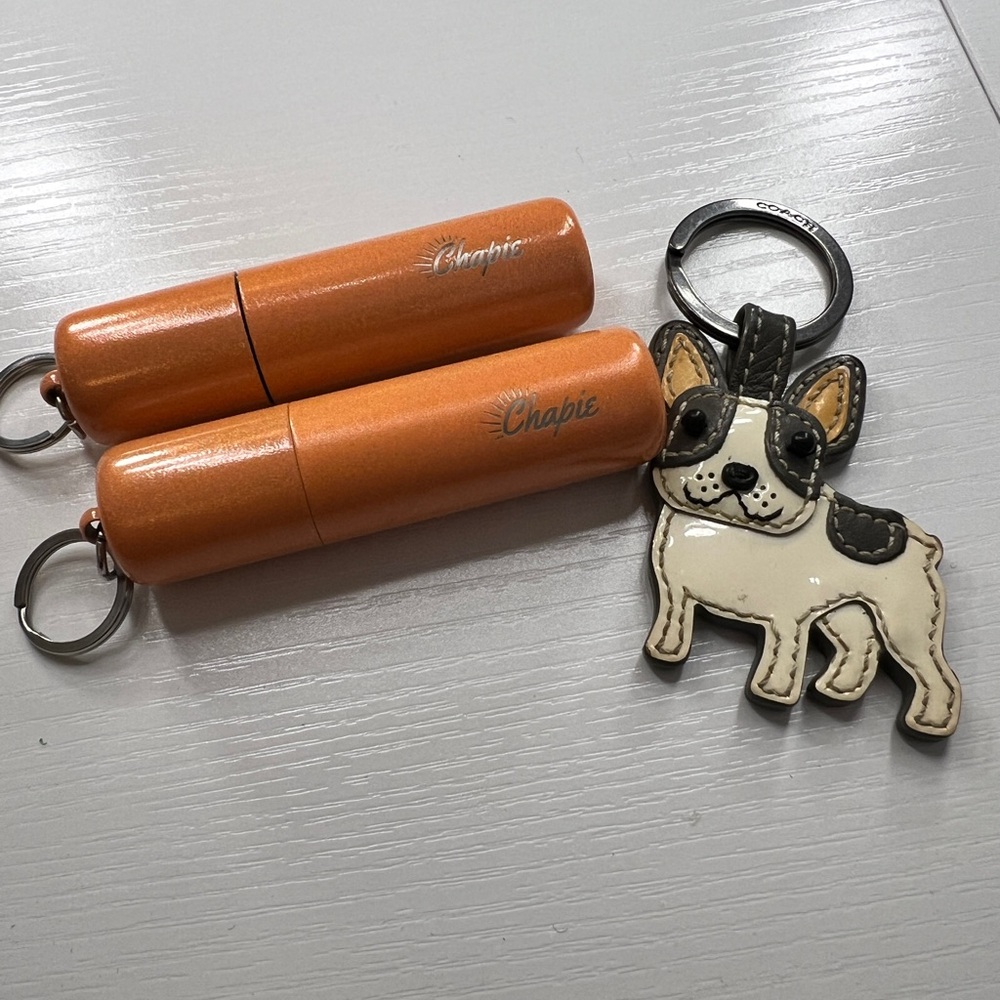Coach Dog Keychain with Orange Chapic set